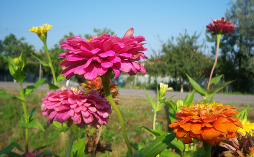 770789 (a): :1934x1200